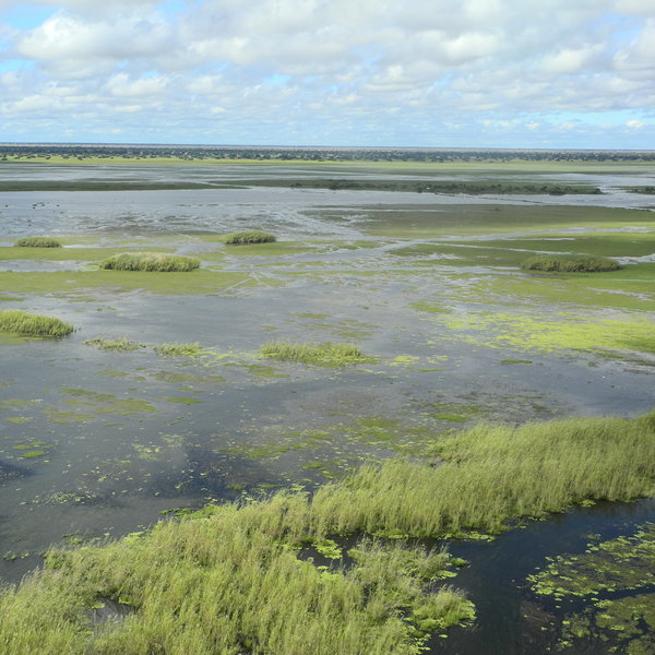The Bangweulu Wetlands is a flooded wilderness…