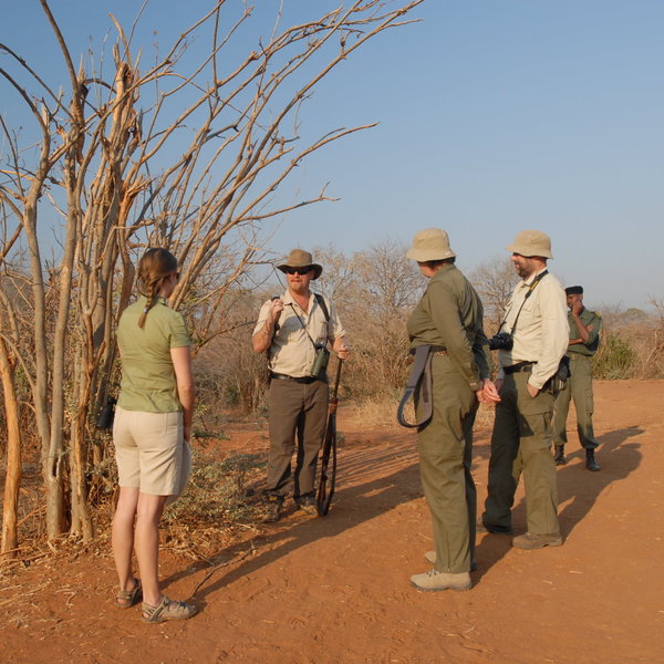Walking safaris with professional guides are available from all of the camps ...