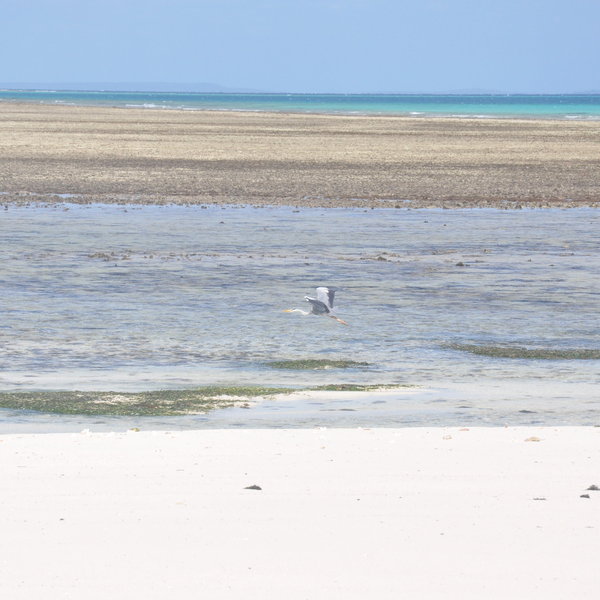 … and some stunning bird and wild life.
