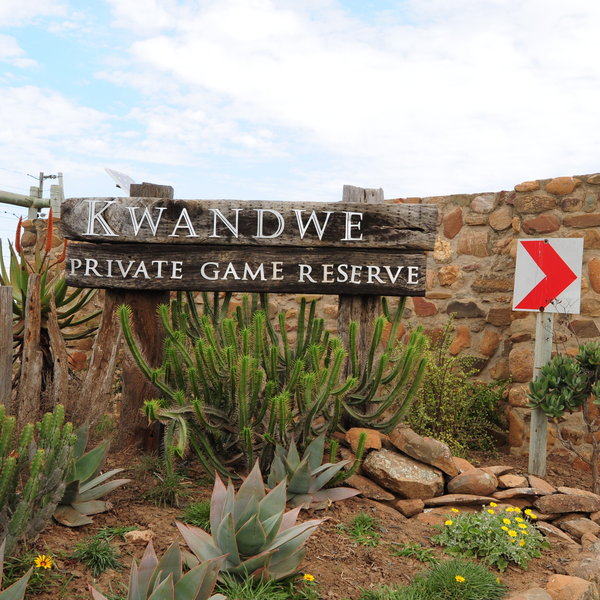 Kwandwe Private Game Reserve is situated in the Eastern Cape in South Africa, ...