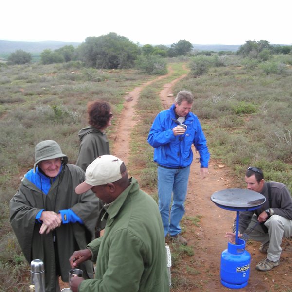 Hence activities in Kwandwe Game Reserve focus on guided walks...