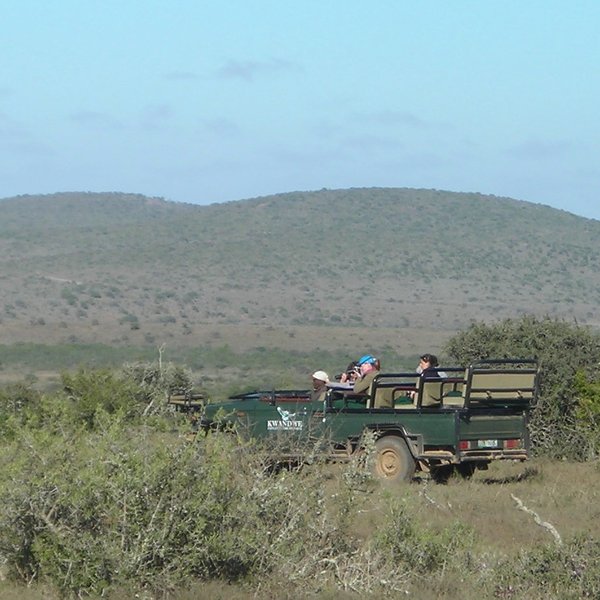 ...and 4WD safaris - both with a very high standard of guiding.