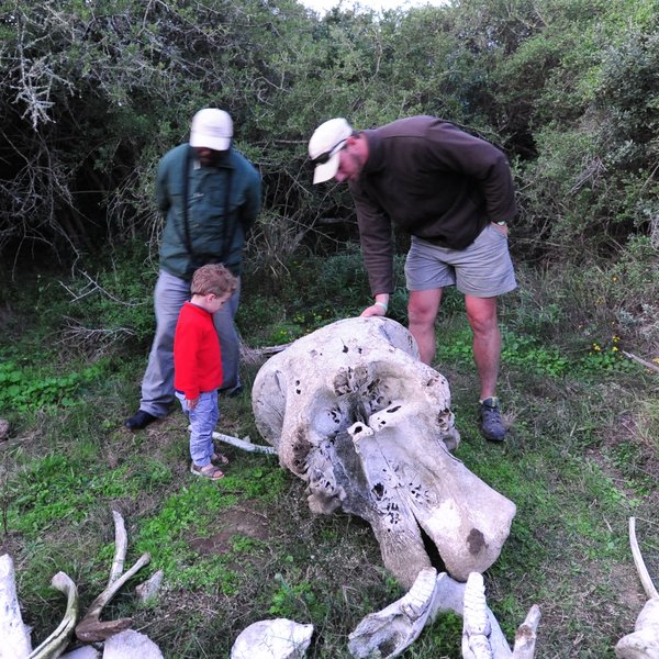 Even small children can get the chance to learn and marvel no less than the adults…