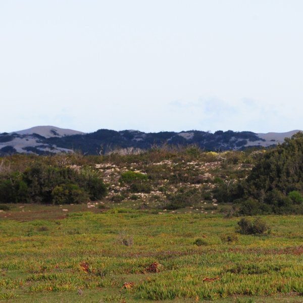 Despite its small size, it offers a great range of habitats...