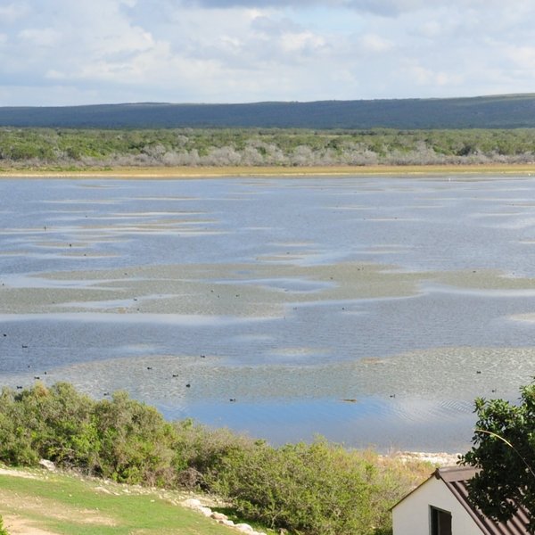 At the edge of De Hoop's large wetland...
