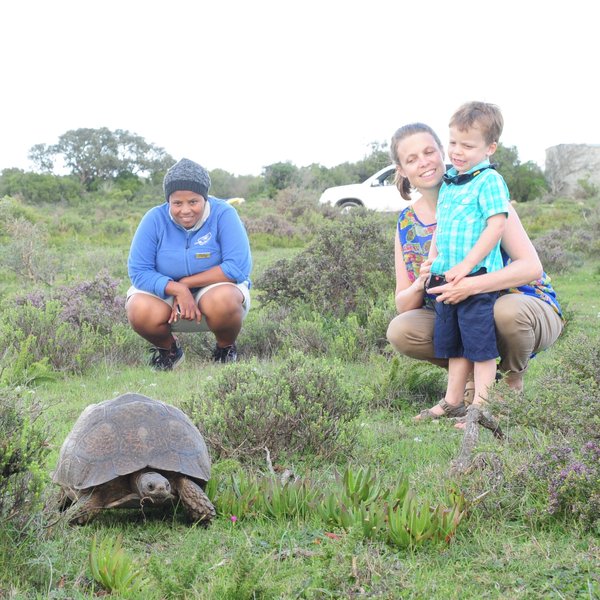 Other guided activities in the reserve include tracking tortoises for children…