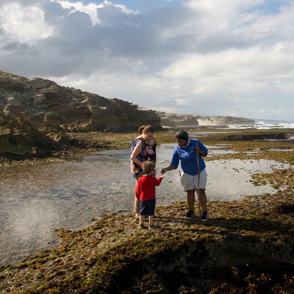 …and intertidal walks with a knowledgeable guide…