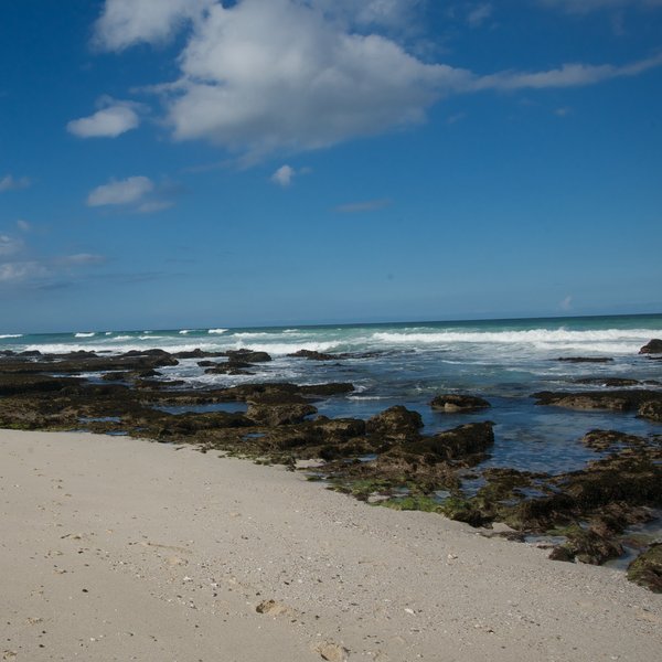 ...at De Hoop's beautiful coastline.