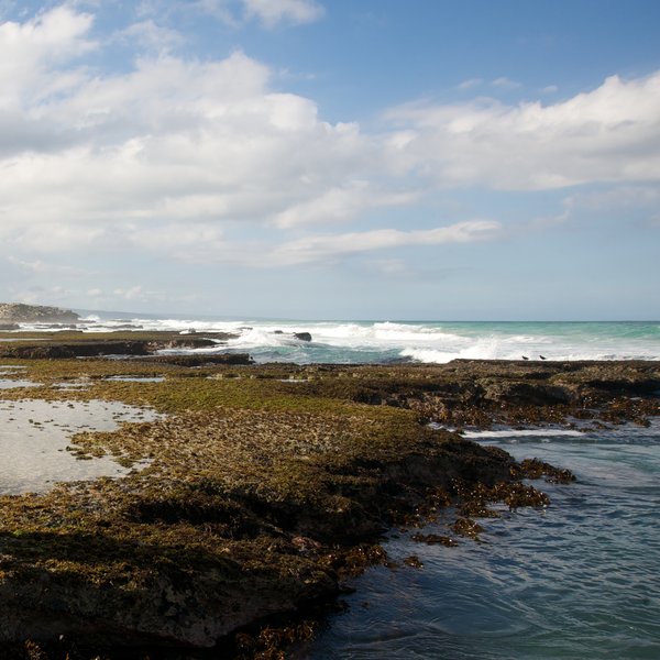 ...pristine rock pools…