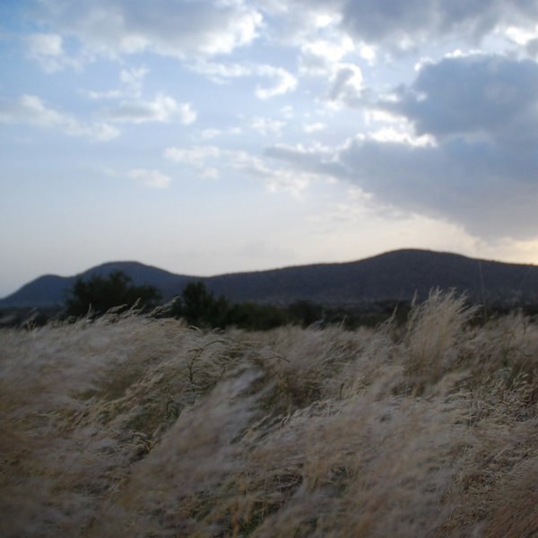 The reserve offers dry plains, grassland, acacia trees and doum palms…
