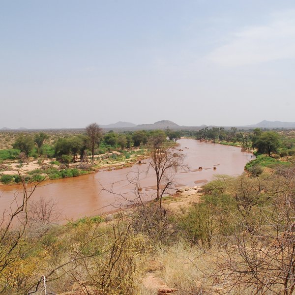 …thanks to the Ewaso Nyiro, northern Kenya’s biggest river…