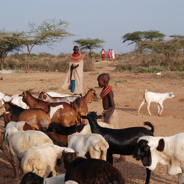 You can visit a local village on market day…