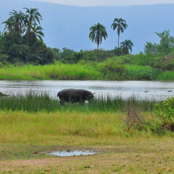 The Park covers about 1,120km² and is one of Africa’s oldest national parks.
