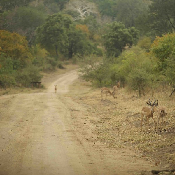 and an rural area