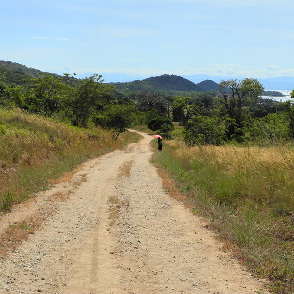 There is one main road running the length of the island.
