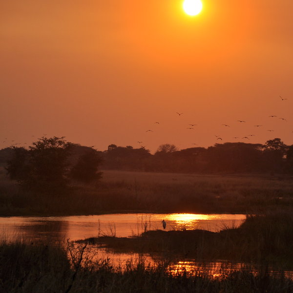 An advantage of Katavi's isolation is that its 4500km² of wilderness remains untouched ...