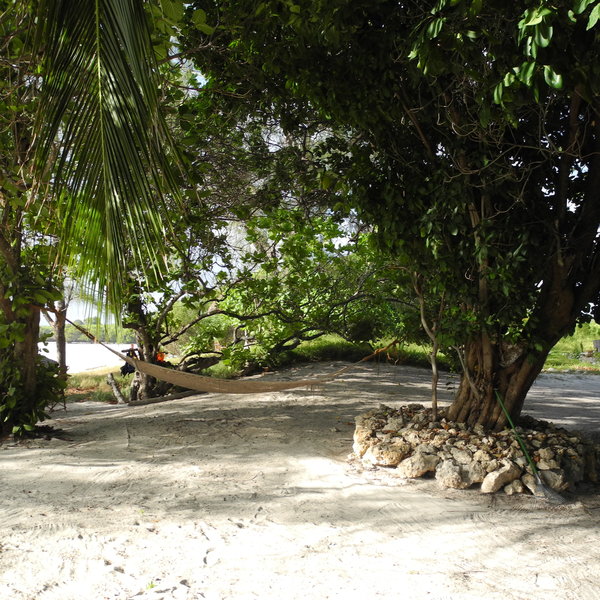 It is less visited than Zanzibar and therefore offers less touristy experiences ...