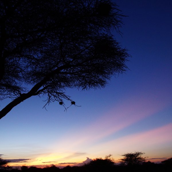 …before going back to camp at sunset.