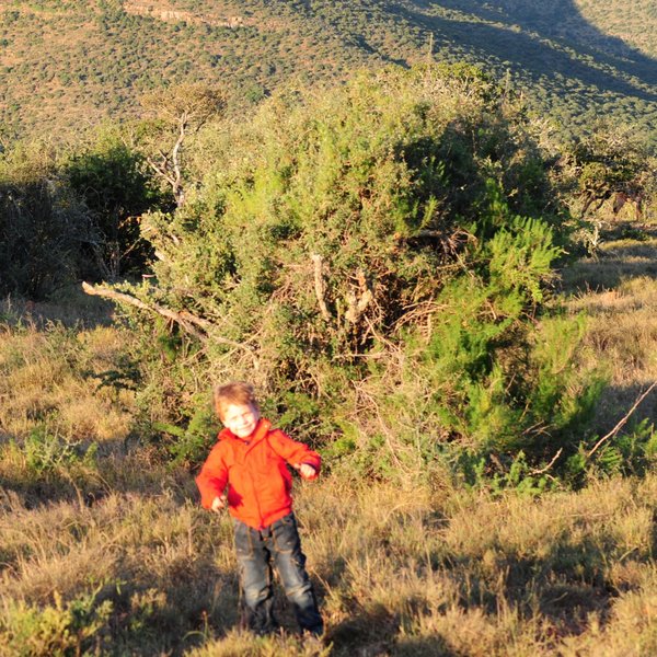 Samara is a malaria-free reserve – excellent for a family holiday in Africa ...