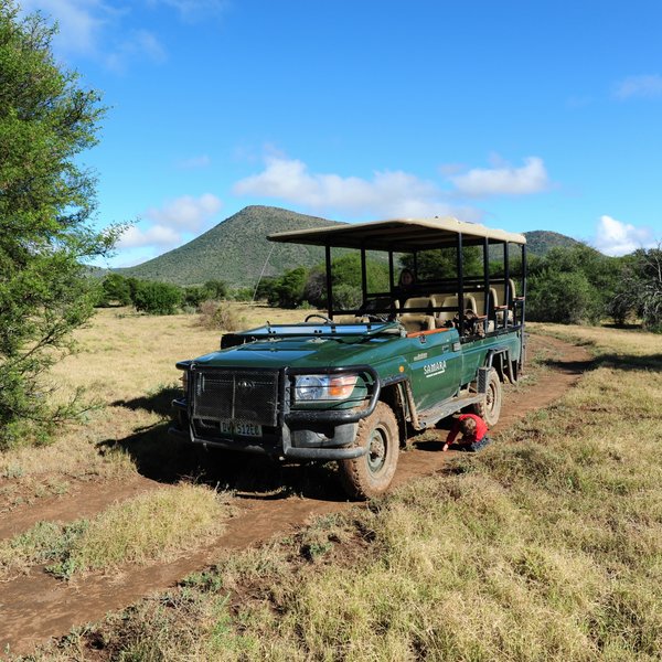 ... here children are generally allowed on walks and game drives.