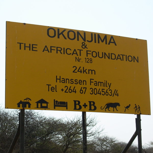 ...it is home to The AfriCat Foundation, which works to research and conserve Namibia's threatened carnivores.