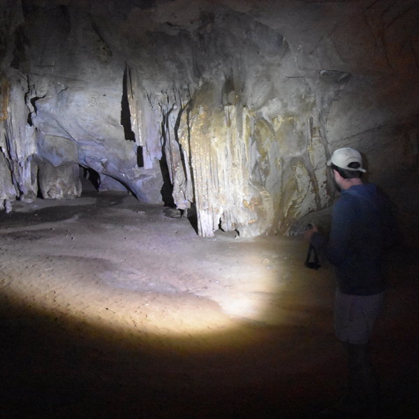 ...in the darkness you will see superb examples of stalagmites and stalactites as well as bats.