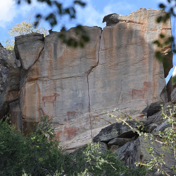 With over 4,500 rock paintings the "Louvre of the desert"...