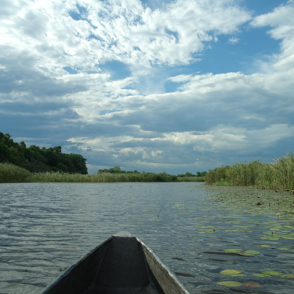 ...or take a mokoro trip, which puts you almost at eye level with the water....