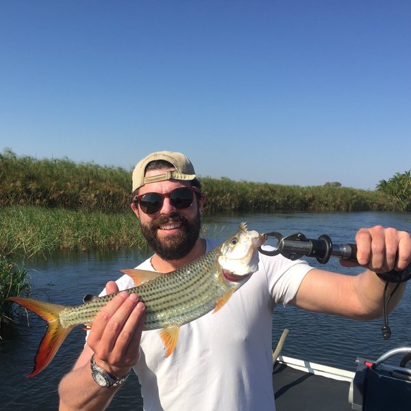 ...with some of the best tiger fishing in Botswana on offer.