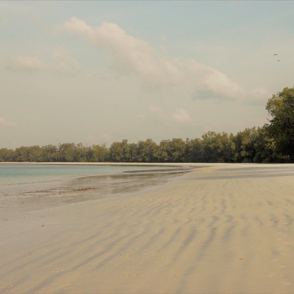... such as the pristine Vumawimbi beach in the north of the island....