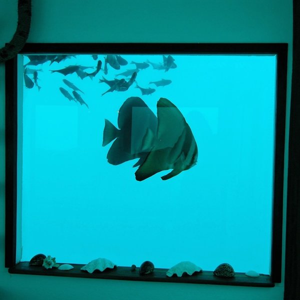 ... and a unique underwater bedroom.
