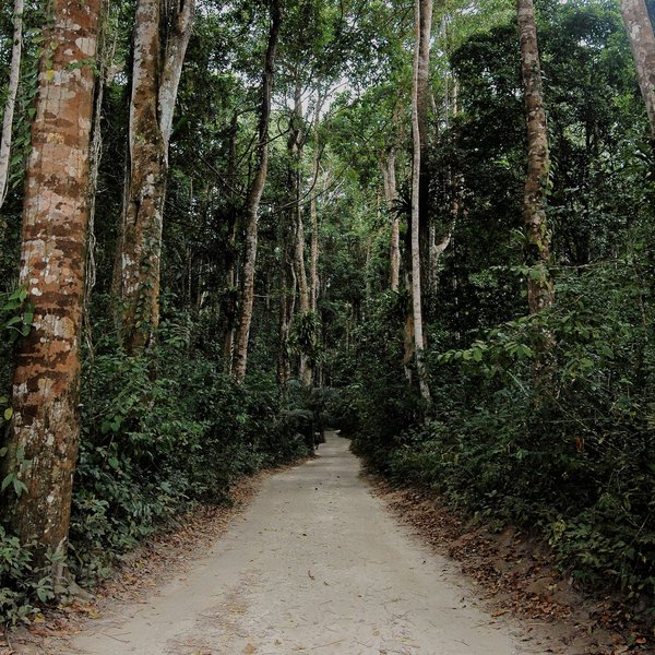 There is a wide range of activities to do on Pemba, such as exploring the Ngezi Forest...