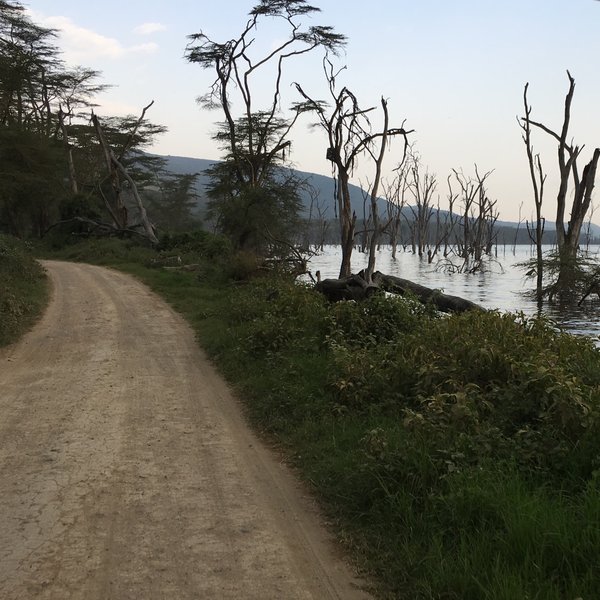 …and has been dramatically flooded in recent years – hence the lack of flamingos.