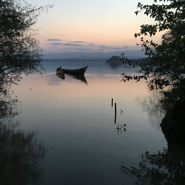 Freshwater Lake Baringo, in the northern Rift Valley…