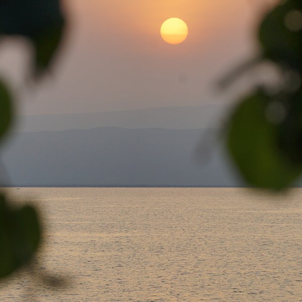 …and afer sunrise…