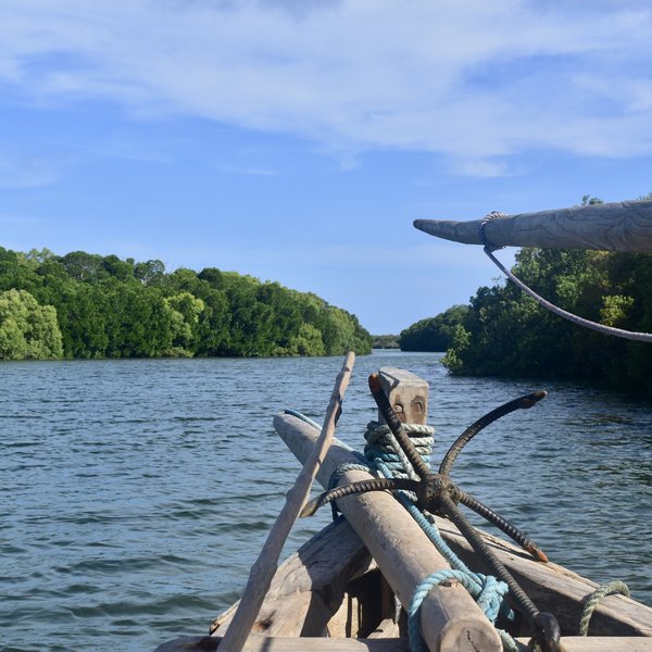 Explore hidden channels and coves...