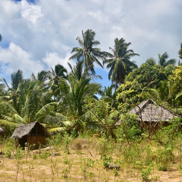 ... and get a taste of local life.
