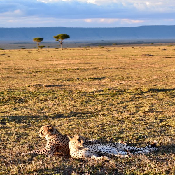 So, talk to Expert Africa, who know where the quieter spots are, away from the crowds.