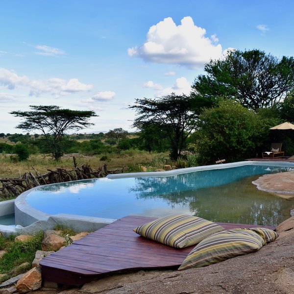 Accommodation in the Serengeti can vary from luxury lodge...