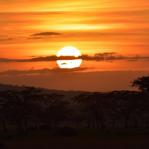 ... whilst watching the sun set over the horizon.