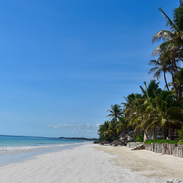 The Michamvi Peninsula of Zanzibar is lined by a very large, long powder-white beach.