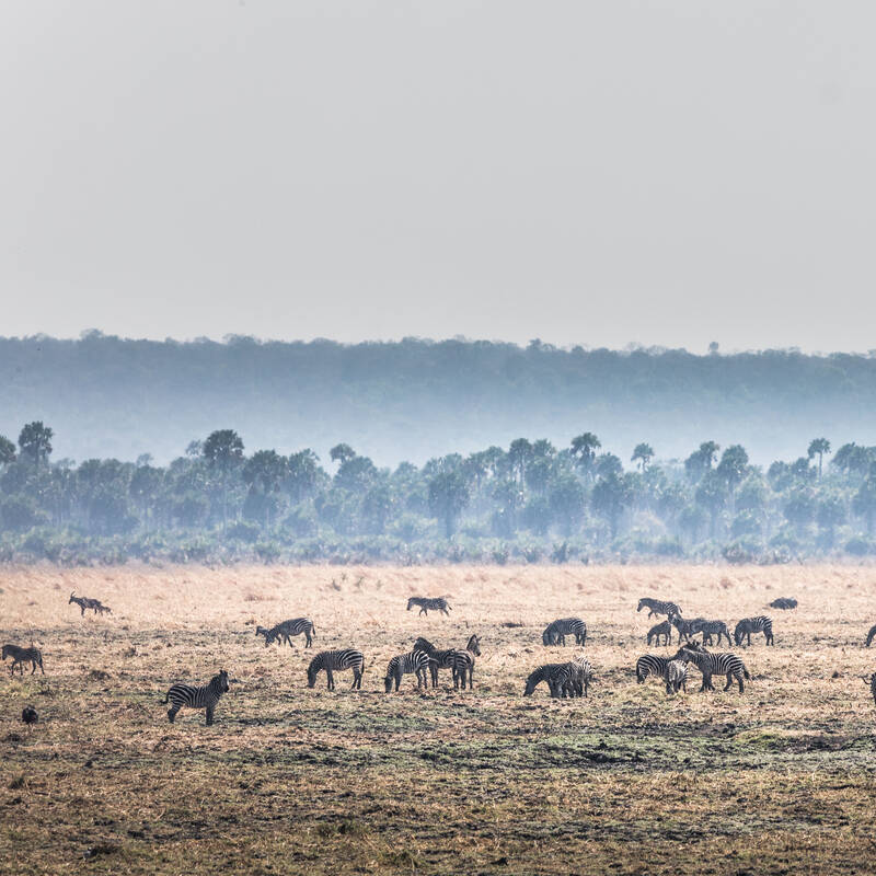 Katavi National Park