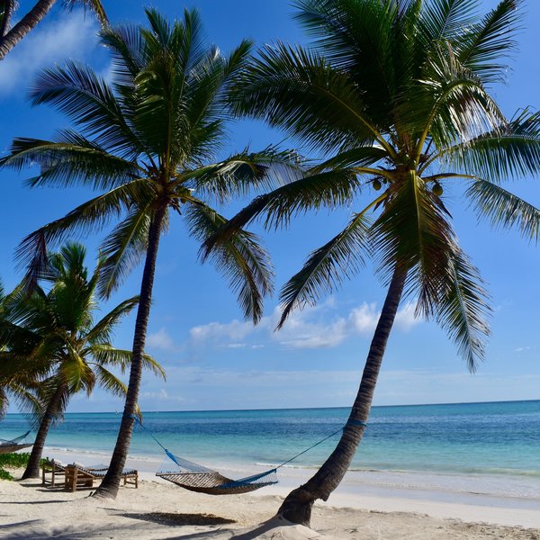Come to the Michamvi Peninsula to relax on the beach...
