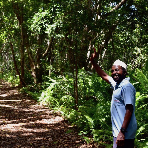 ... and explore Jozani Forest.
