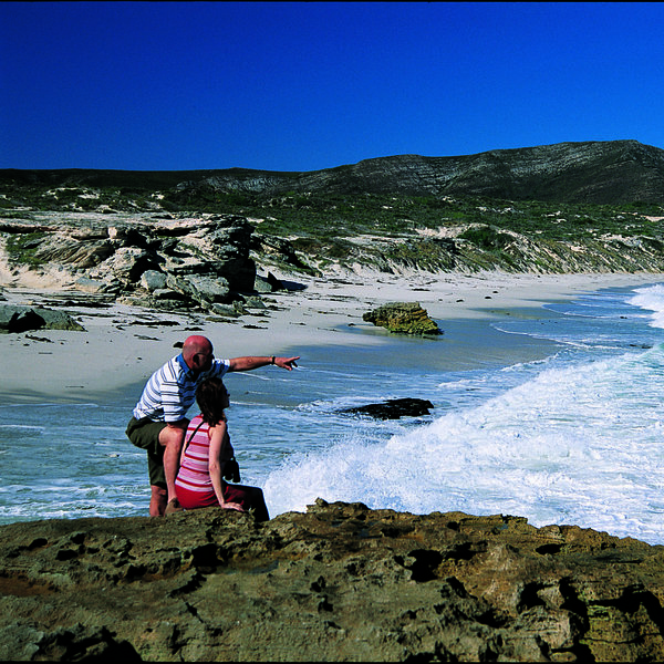 Explore the beautiful natural environment of the Garden Route…