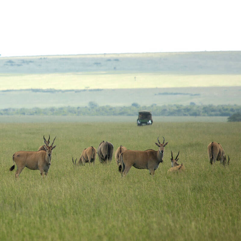 Maasai Mara Conservancies