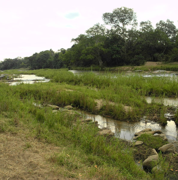 Home to the both the gentle, shallow Mkulumadzi River …