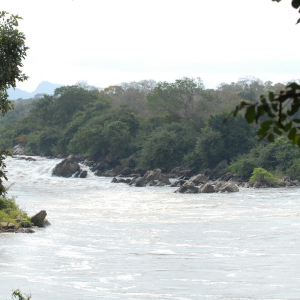 … and the much faster, deeper Shire River…