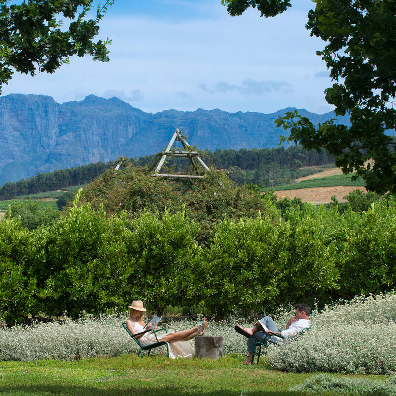 Winelands