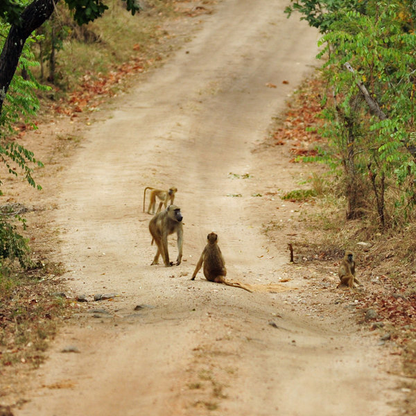 ... who didn’t want to leave the road.